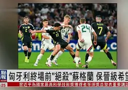 球天下体育官方网址-法国 德国 欧洲杯